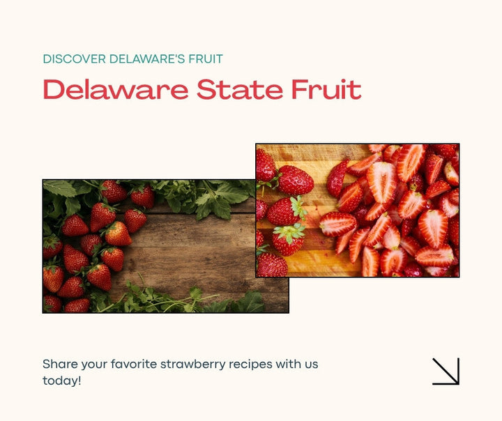 Why the Strawberry Is Delaware's State Fruit