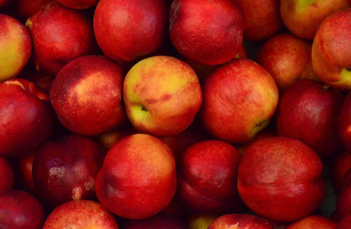 Virginia State Fruit
