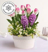 Sweet Serenity Bulb Garden
