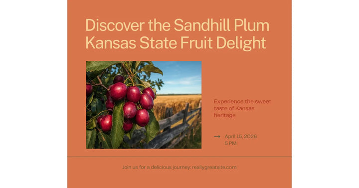 Kansas State Fruit: How the Sandhill Plum Won Over the Sunflower State