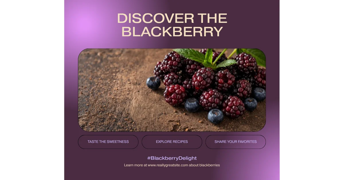 Kentucky state fruit blackberry - fresh ripe blackberries ready for picking