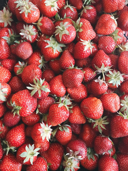 Fresh Louisiana strawberries in basket at farmers market