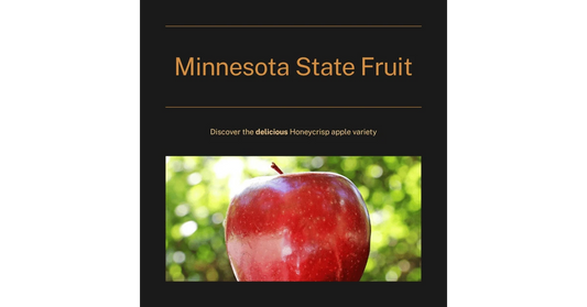 Minnesota state fruit Honeycrisp apple with red skin on a dark background