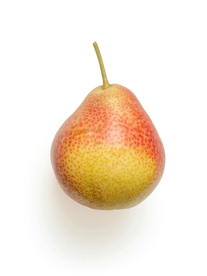Oregon State Fruit