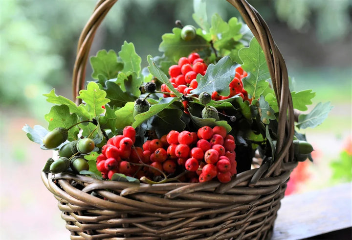 South Dakota State Fruit