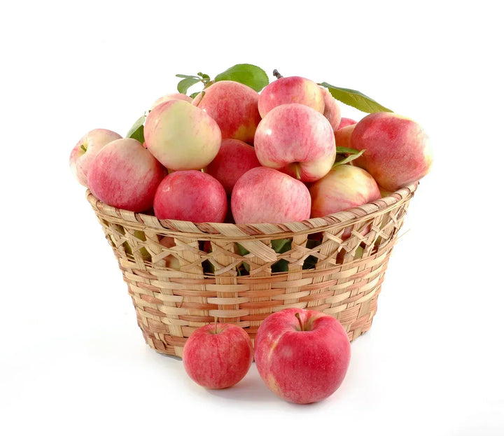 Sympathy Gift Baskets: A Thoughtful Guide to Showing You Care