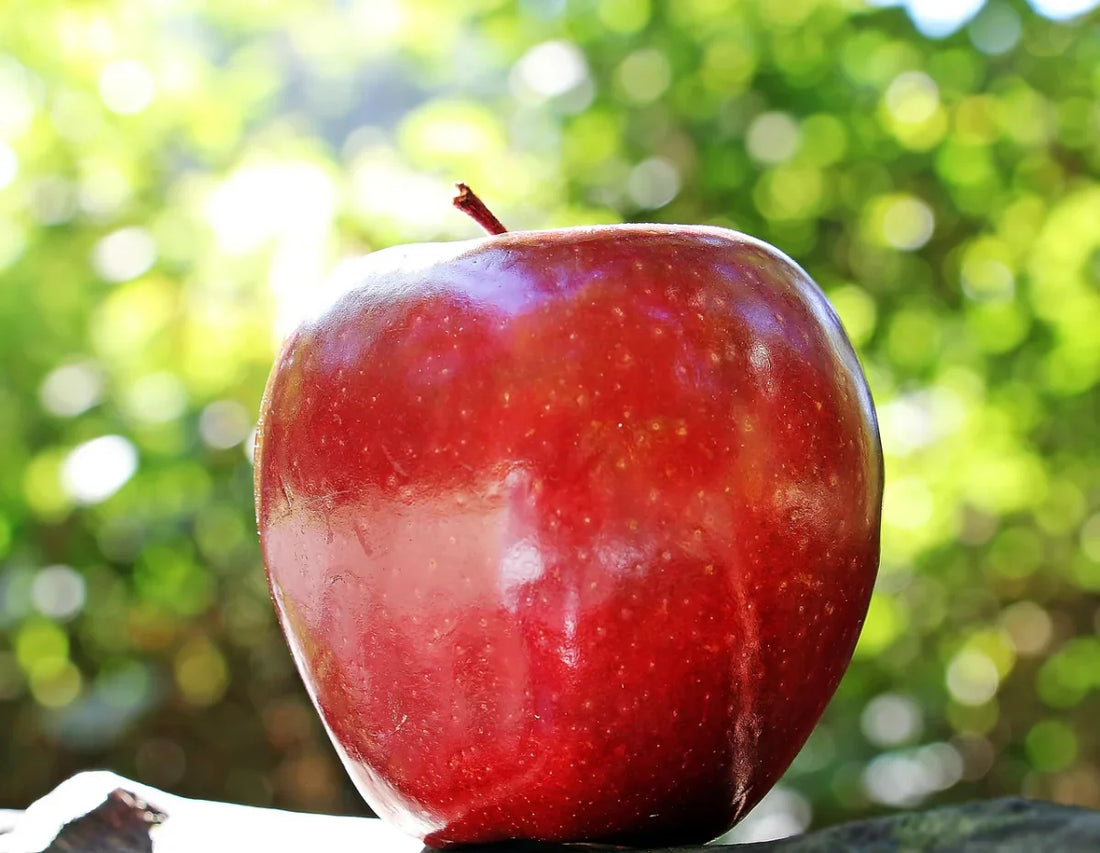 Vermont State Fruit